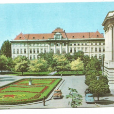 @carte postala(ilustrata)-TIMISOARA-Institutul de medicina