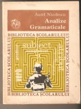 Aurel Nicolescu-Analize Gramaticale