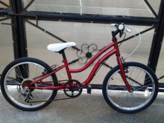 Apollo / Red / bicicleta copii 20&amp;quot; (7-12 ani) foto