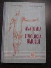 ANATOMIA SI FIZIOLOGIA OMULUI - I.C. Petricu, I.C. Voiculescu - Medicala, 1959 foto