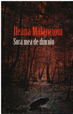 Sora mea de dincolo - editia a II-a - Autor(i): Ileana Malancioiu foto