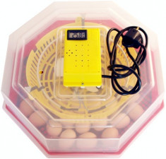 Incubator Cleo 5DTH-Dispozitiv de intoarcere oua cu termohigrometru foto