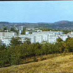 Romania - CP circulata 1987 - Moreni - Vedere