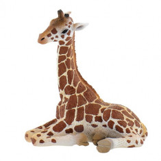 Figurina Pui de Girafa foto