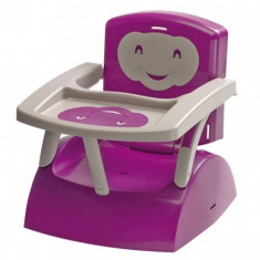 Booster Seat 2 in 1 Purple Grey foto