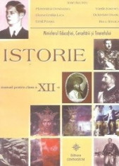 Ioan Scurtu, Vasile Ionescu, Relu Stoica - Istorie - manual pentru clasa a XII-a foto