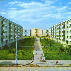 Romania - CP circulata 1986 - Moreni - Vedere