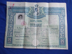 DIPLOMA DE BACALAUREAT * LICEUL DE FETE &amp;#039;&amp;#039;ELENA DOAMNA&amp;#039;&amp;#039; DIN CERNAUTI - 1940 foto