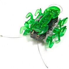 Microrobot Ant Verde foto