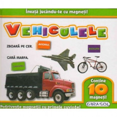 Invata Jucandu-te cu Magneti Vehiculele foto