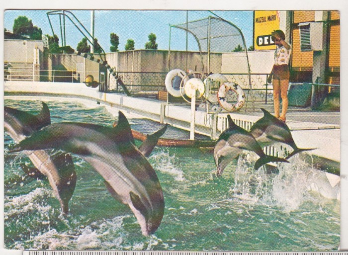 bnk cp Constanta - Delfinariul - necirculata