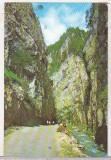 Bnk cp Cheile Dambovicioarei - Vedere - circulata, Printata, Arges