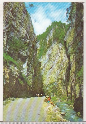 bnk cp Cheile Dambovicioarei - Vedere - circulata foto