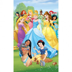 Tapet pentru Copii Disney Princess foto