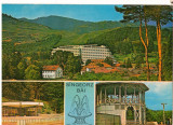 CPI (B8219) CARTE POSTALA - SANGEORZ BAI, Circulata, Fotografie