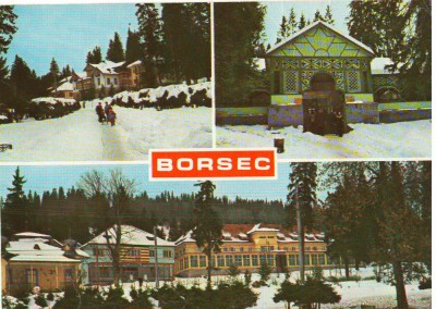 CPI (B8204) CARTE POST - BORSEC. VILE, IZVORUL NT. 10 foto