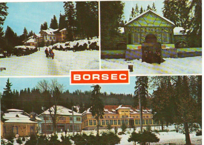 CPI (B8204) CARTE POST - BORSEC. VILE, IZVORUL NT. 10