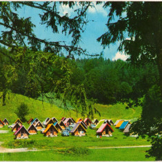 CPI (B8206) CARTE POST - BORSEC. CAMPING