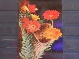 FLORI - GERBERA - NECIRCULATA .