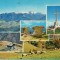 CPI (B8234) CARTE POSTALA - MUNTII BUCEGI