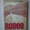 (C335) VASILE SALAJAN - RODEO