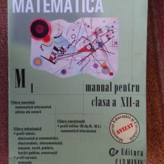 MATEMATICA CLASA A XII A TEORETICA TEHNOLOGICA VOCATIONALA , BURTEA