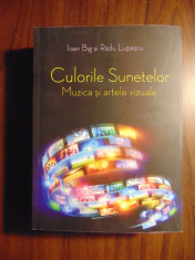 Culorile sunetelor. Muzica si artele vizuale - Ioan Big, Radu Lupascu (2015) foto