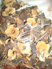 Plante naturale uscate - ciuperci deshidratate ZEM - punga 300 gr foto