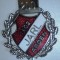 I.174 INSIGNA STICKPIN DANEMARCA SPORT FOTBAL 200 JARL ARDEN h57mm email