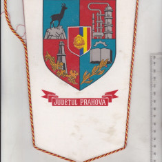 bnk div Fanion UTC - Comitetul IJTL Prahova