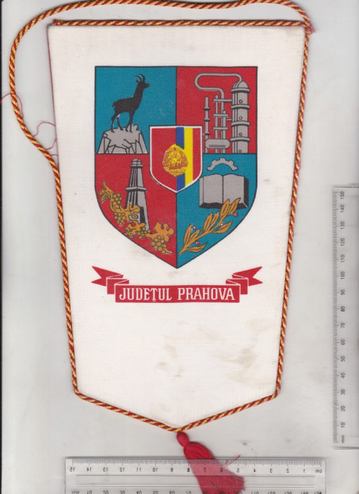 bnk div Fanion UTC - Comitetul IJTL Prahova