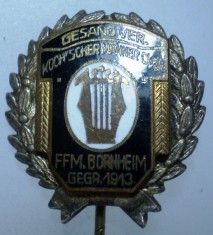 I.074 INSIGNA GERMANIA STICKPIN MUZICA LIRA COR BARBATESC BORNHEIM h55mm email