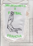 Bnk div Fanion Comisia Judeteana a Arbitrilor de Fotbal Prahova