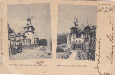 SOUVENIR DE SINAIA CASTELUL PELES FATADA EST SI SUD-EST CLASICA CIRC. 1899 foto