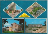 CPI (B8272) CARTE POSTALA - BACAU. MOZAIC, Circulata, Fotografie