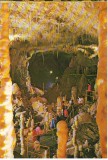 CPI (B8291) CARTE POSTALA - PESTERA URSILOR (CHISCAU) - BIHOR (122/555)