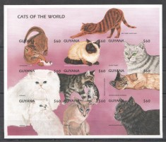 GUYANA 1997 PISICI NEDANTELAT foto