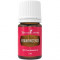 Frankincense Essential Oil, Young Living