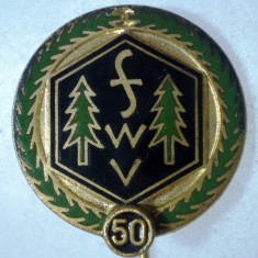 I.088 INSIGNA GERMANIA STICKPIN FWV FRANKENWALDVEREIN 50 ANI h56mm email