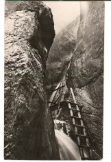 CPI (B8289) CARTE POSTALA - SPRE MASIVUL PIATRA MARE RPIN &quot;SAPTE SCARI&quot;, RPR