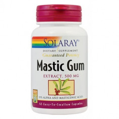 MASTIC GUM 45CPS, SECOM foto