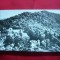 Ilustrata - Ciucea - Muzeul O.Goga ,circulat 1963