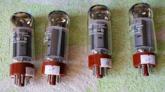 Lampi Tub EL34 Shuguang - Electron Tube foto