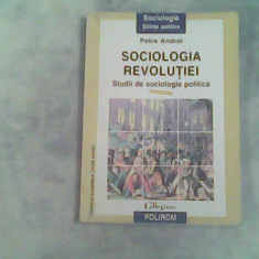 Sociologia revolutiei-Studii de sociologie politica-Petre Andrei