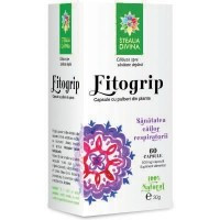 Fitogrip 500mg Santo Raphael 60cps Cod: 23804 foto