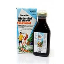 Floradix Kindervital Pronat 250ml Cod: sb734 foto