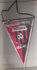 FANION+INSIGNA FOTBAL A.S VICTORIA CALAN HUNEDOARA foto