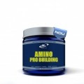 Amino Pro Building Pro Ntutrition 100tbl Cod: pro6 foto