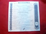 Certificat de Actionar 1996 Aversa Bucuresti