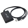 Placa video pe usb, Convertor USB + audio la HDMI / DVI